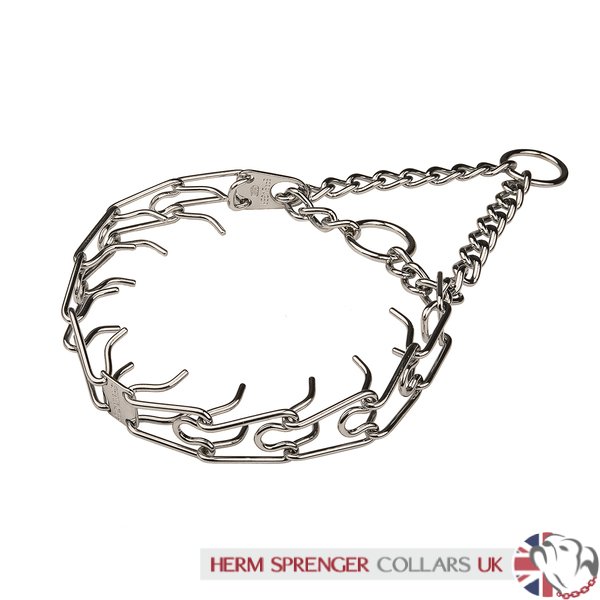Chrome Plated Steel Dog Prong Collar with Buckle