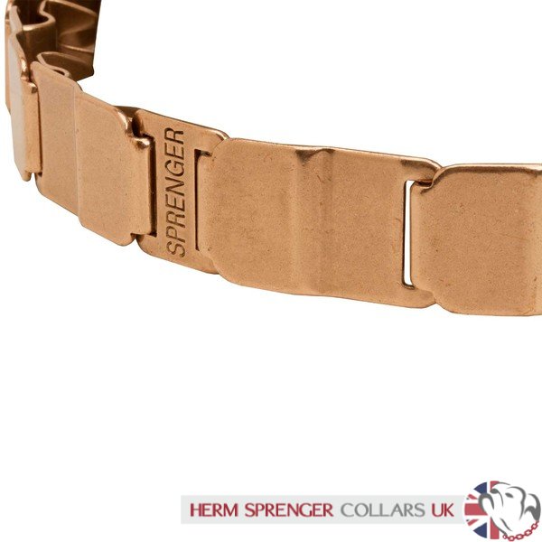 "The Golden Boy" Herm Sprenger Neck Tech Sport Curogan Prong Collar