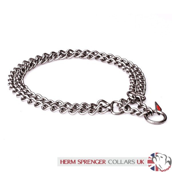 Stainless steel sale dog collar