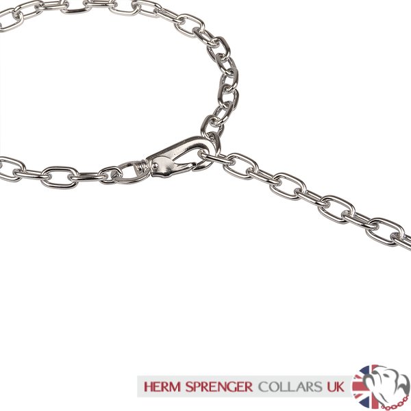 dog chain hook