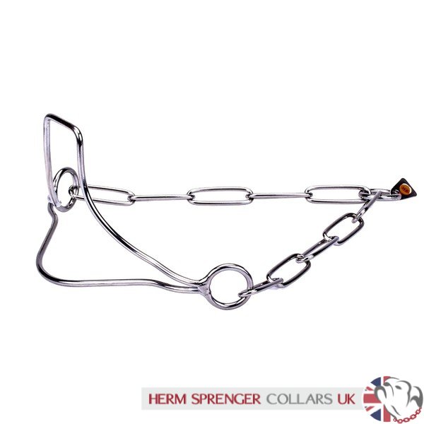 "Heads-Up" Stainless Steel Herm Sprenger Show Collar for Dog with Stand