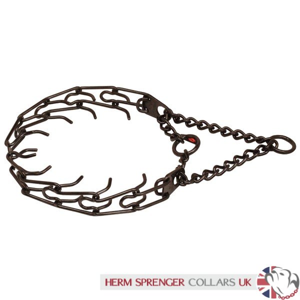 "Dark Delight" Herm Sprenger Black Finish Prong Dog Collar 3.25mm Large
