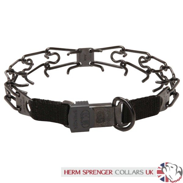 herm sprenger black prong collar