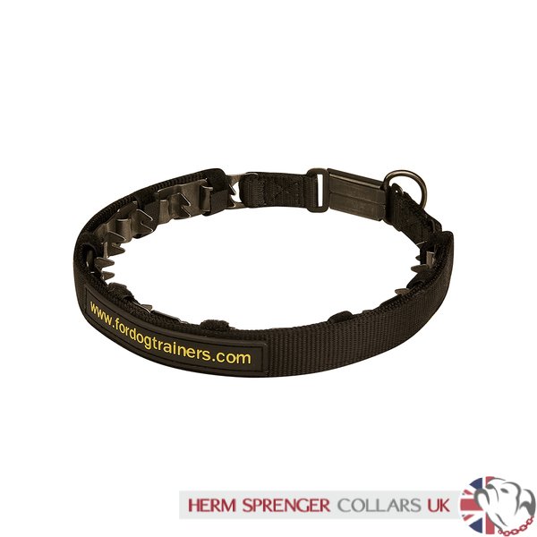 steel dog collar