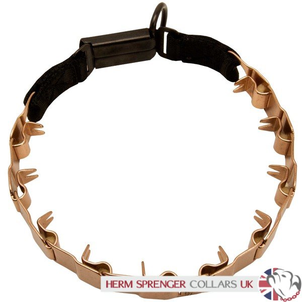 gold prong collar