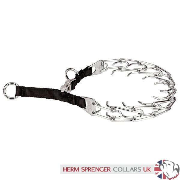 herm sprenger chrome prong collar
