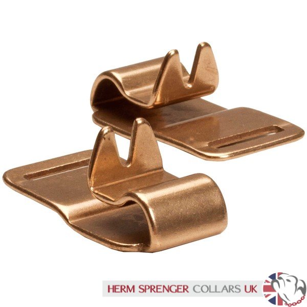 "The Golden Boy" Herm Sprenger Neck Tech Sport Curogan Prong Collar