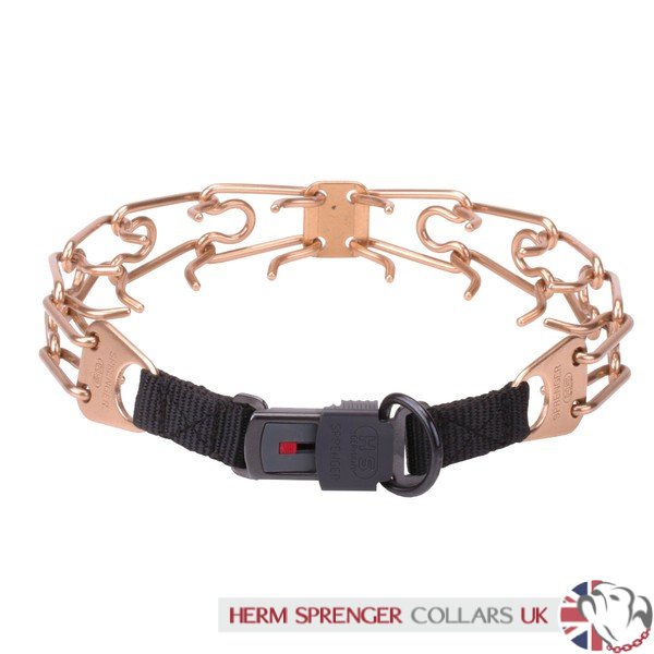 4 mm Curogan Herm Sprenger Prong Collar with Security Buckle £72.79