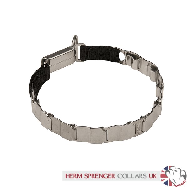 herm sprenger martingale dog collar