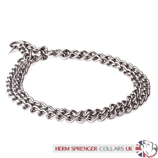 metal martingale collar