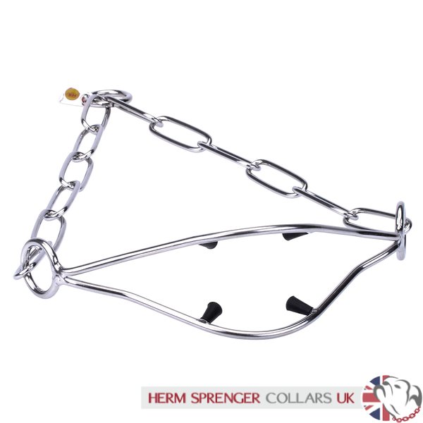 flat link show collar