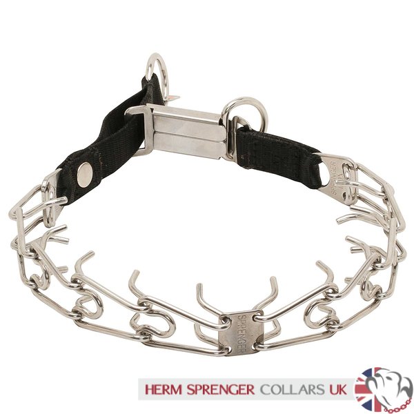 "Taming Loop" 3.2 mm Stainless Steel Dog Pinch Collar with Buckle and Nylon Loop