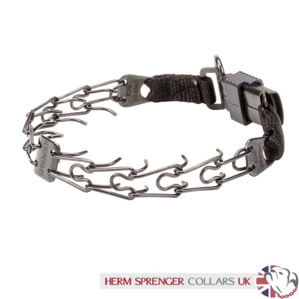 herm sprenger black prong collar