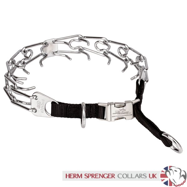 herm sprenger chrome prong collar