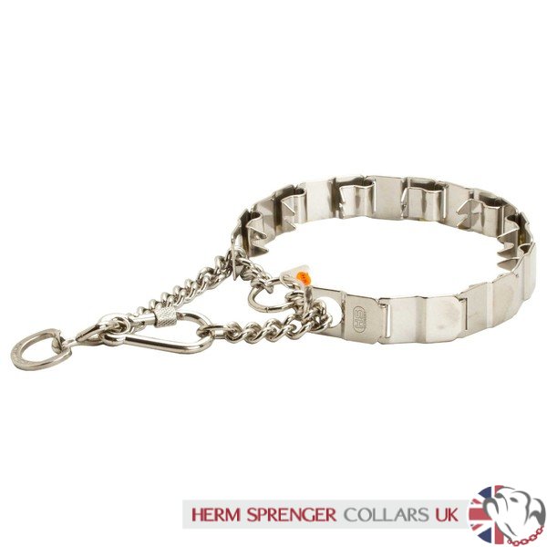 herm sprenger martingale dog collar