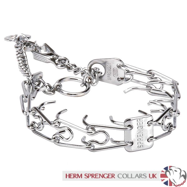 "Manners Fighter" Large Dog Pinch Collar with Quick Release 4 mm