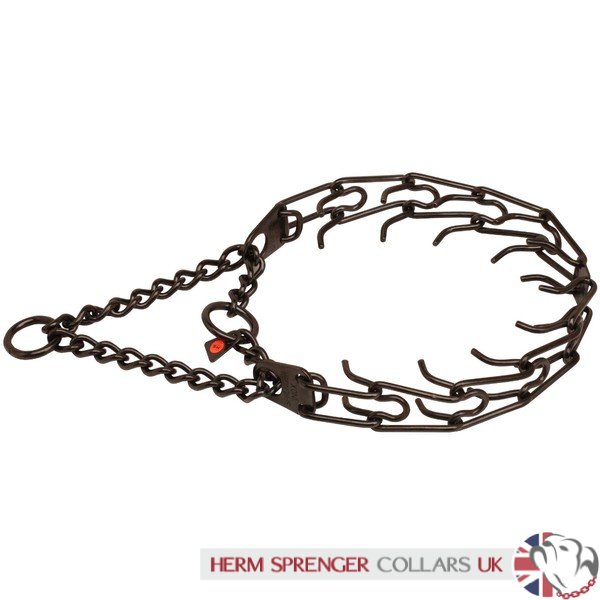 "Dark Delight" Herm Sprenger Black Finish Prong Dog Collar 3.25mm Large